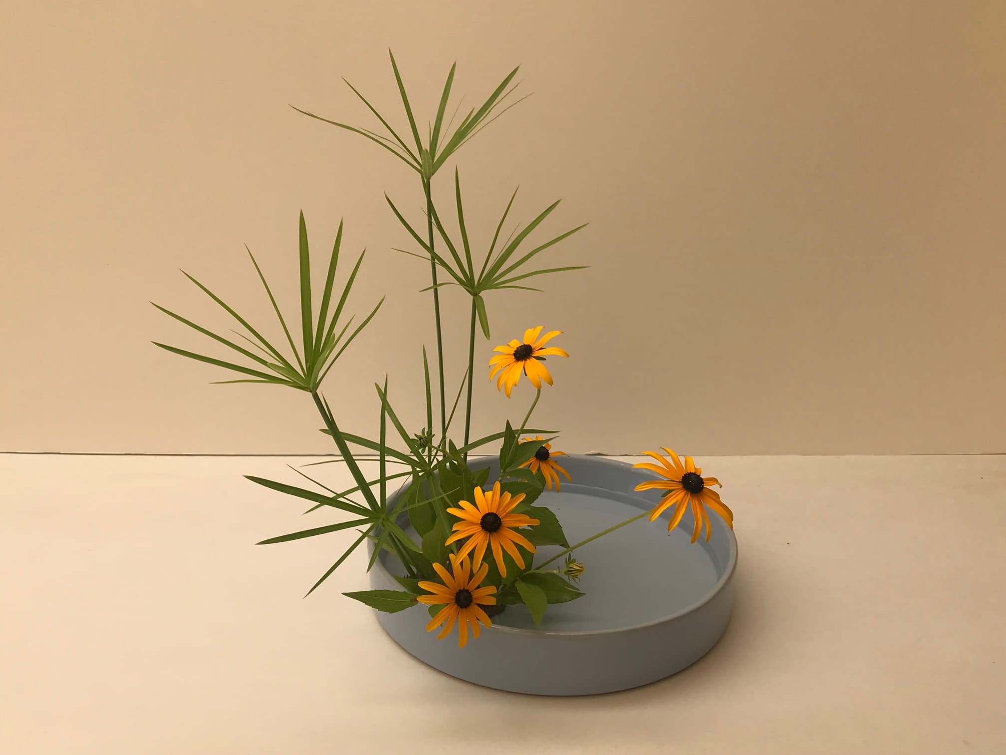 Arrangement Moribana Chokuritsu Kei été style Ohara