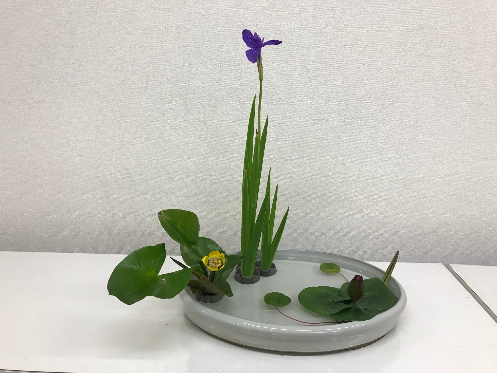Arrangement Shakei Moribana Youshiki Honi été style Ohara